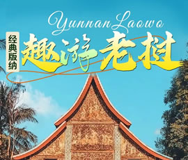 【趣游老撾 · 經典版納】—昆明、普洱、西雙版納、磨丁、瑯勃拉邦四動8日游